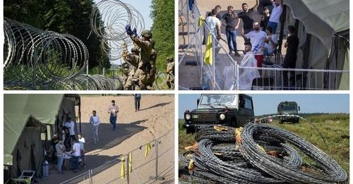 Литва строит забор из колючей проволоки на границе с Беларусью 