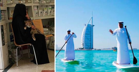 24 очень странных снимков из Дубая, которые нам не понять