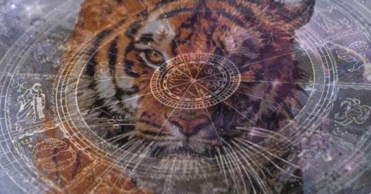 2022 год Тигра: гороскоп для всех Знаков Зодиака