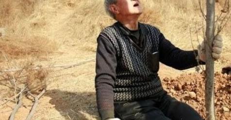 70-летний ветеран без ног за 19 лет посадил 17 тыс деревьев