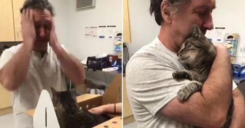 Владелец нашёл своего 19 летнего кота через 7 лет после того, как тот пропал без вести