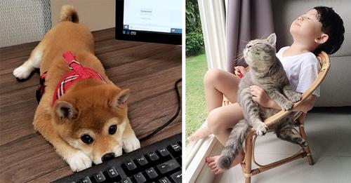 ЖИВОТНЫЕТрогательные фотографии о дружбе между животным и человеком, которые сделают этот день добрее