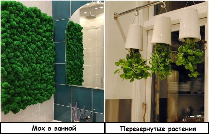 Добавьте в квартиру растений: 6 трендов в озеленении, которые сейчас популярны 