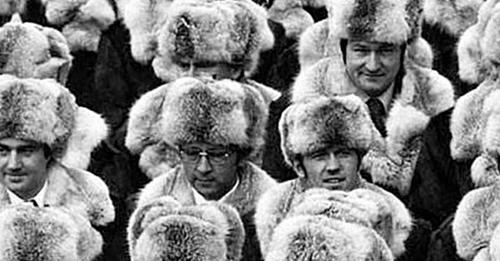 Кто такой этот пыжик, из меха которого носили шапки в СССР?