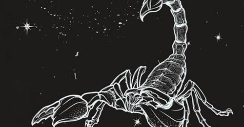15 горьких истин о Скорпионах: грубо, но честно