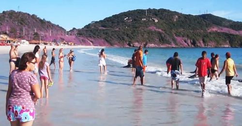 Туристы находились на пляже, когда из воды появилось нечто! Тридцать жизней оказались под угрозой!