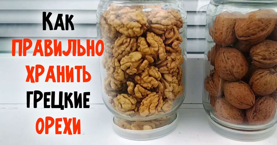 Как хранить грецкие орехи правильно: очищенные или в скорлупе. Лежат долго и не портятся