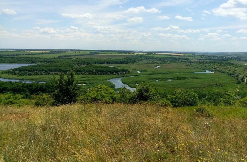 Полезные ископаемые Донецкой области и их характеристики