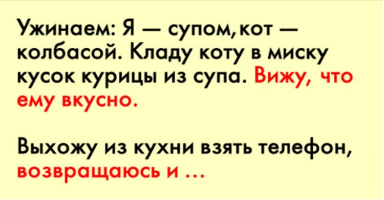 Он ужинал со своим котом, но не ожидал что все так закончится!