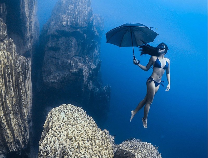 Лучшие подводные фотографии 2017 года