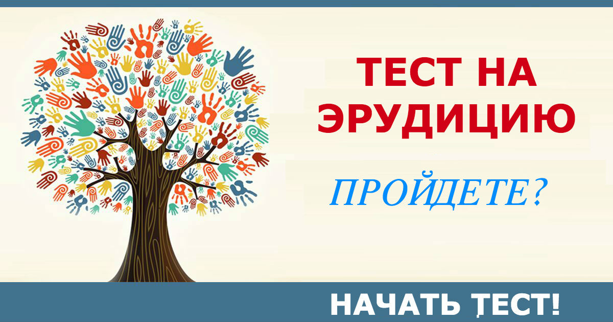 Ответьте на 11 вопросов - и узнаете, в каких науках вы сильны! 