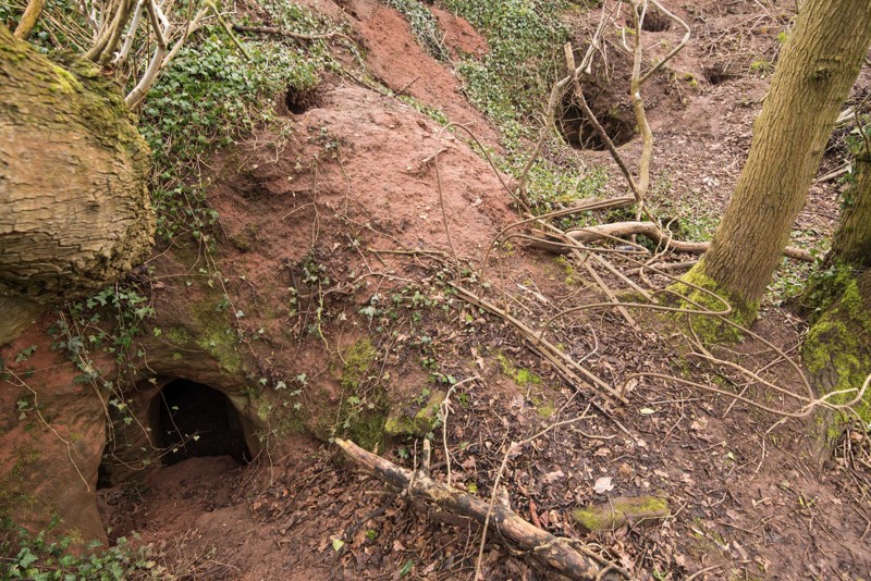 Эта кроличья нора ведёт в 700 летнюю тайную пещеру рыцарей тамплиеров
